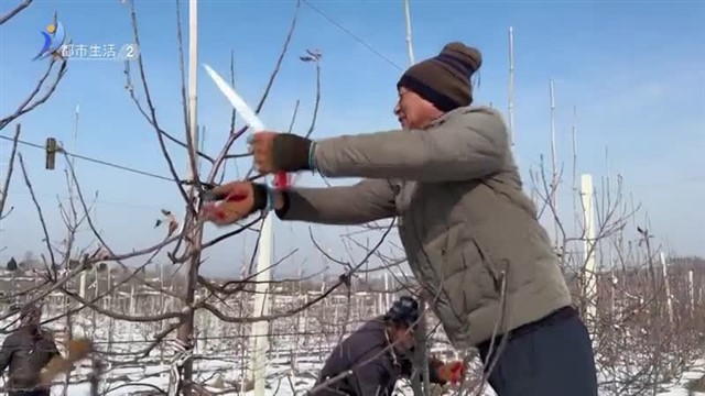 人勤春来早 春忙正当时【威海广电讯】