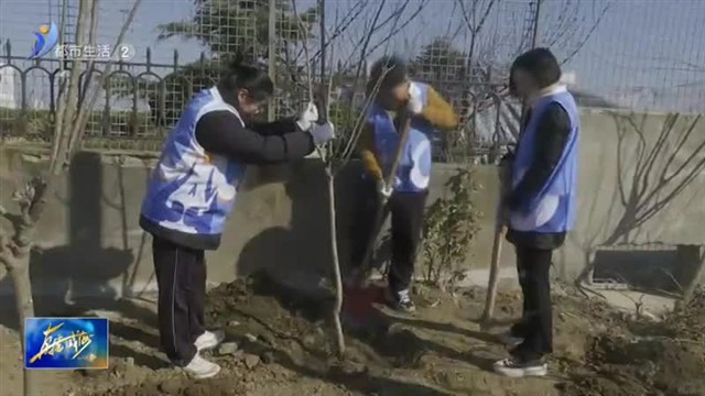 荣成市港西镇开展义务植树活动【威海广电讯】