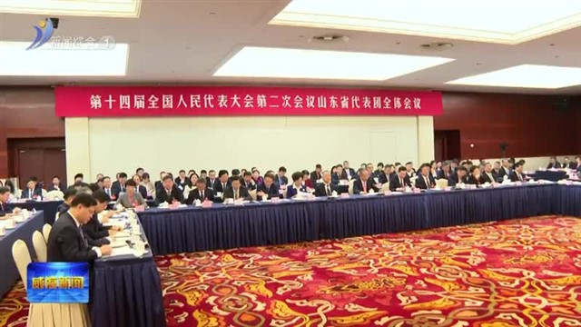 孔凡萍参加十四届全国人大二次会议山东代表团全体会议审议【威海广电讯】