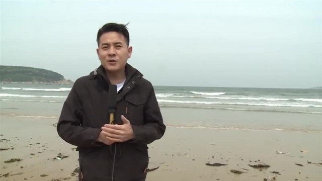 【威海广电讯】海洋预报   2024-04-30