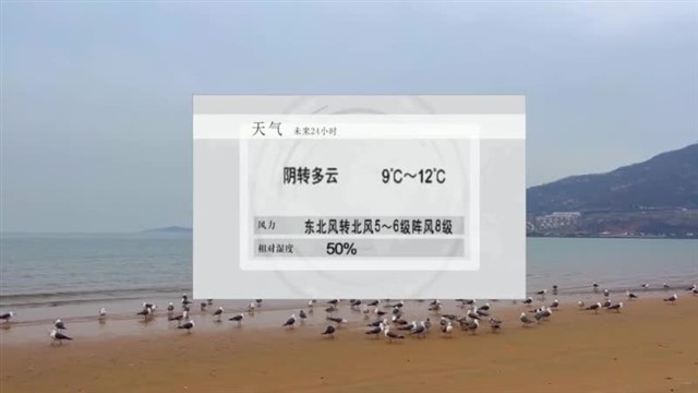 【威海广电讯】海洋预报  2024-04-02