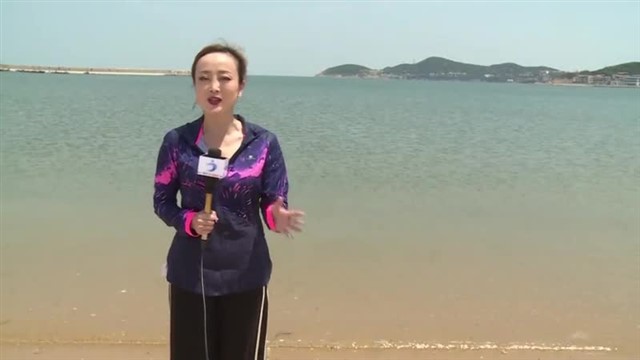 【威海广电讯】海洋预报   2024-05-29