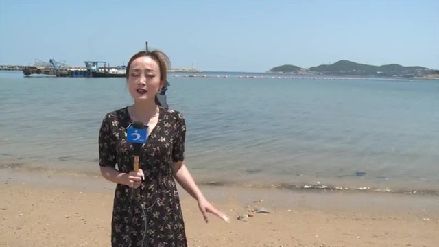 【威海广电讯】海洋气象 2024-06-17