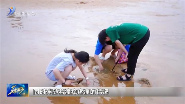 相约山海 健康相伴：皮肤晒伤该如何修复？【威海广电讯】