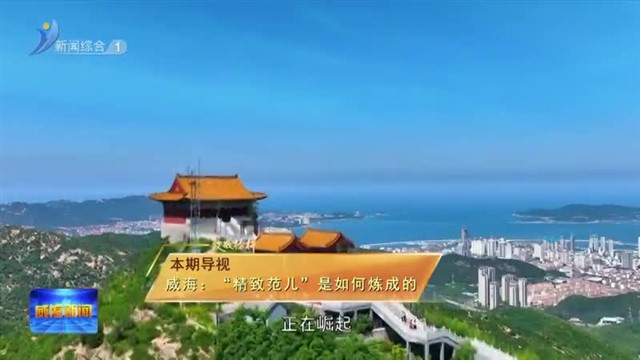 走在前  挑大梁  奋力谱写中国式现代化山东篇章 担当使命任务  展现更大作为【威海广电讯】