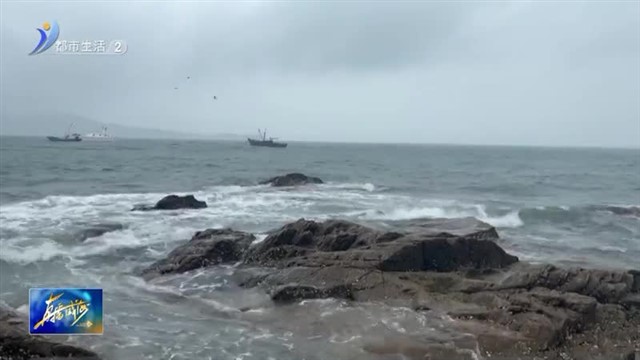 雨中威海 绘就静谧自然画卷【威海广电讯】