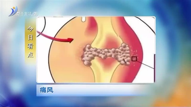 直播威海内容提要   2024-07-28 【威海广电讯】