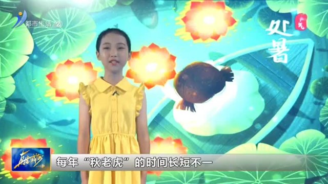 闪亮小主播：小主播说节气——处暑【威海广电讯】