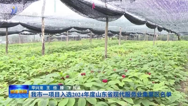 我市一项目入选2024年度山东省现代服务业集聚区名单【威海广电讯】