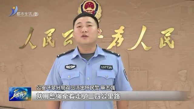 5只羊“迷路” 民警寻主人【威海广电讯】