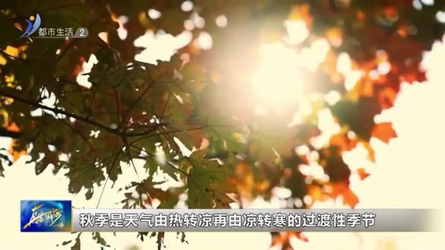 闪亮小主播：王美燃 立秋【威海广电讯】