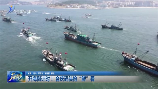 开海倒计时！合庆码头抢“鲜”看【威海广电讯】