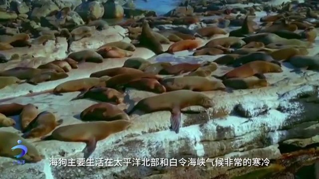 【威海广电讯】中国海洋资讯   2024-08-19