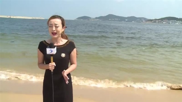 【威海广电讯】海洋预报 2024-9-3