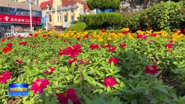 庆祝中华人民共和国成立75周年   花香四溢迎国庆【威海广电讯】