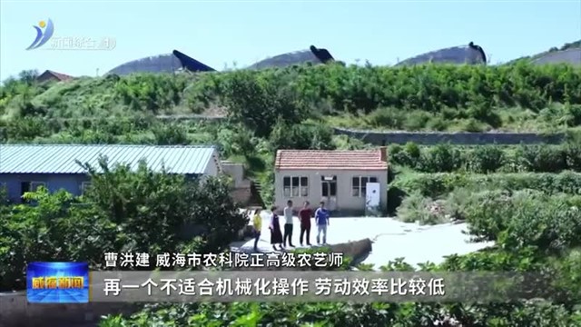 惠企助农 双向奔“富”【威海广电讯】