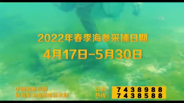 【威海广电讯】中国海洋资讯2024-04-18