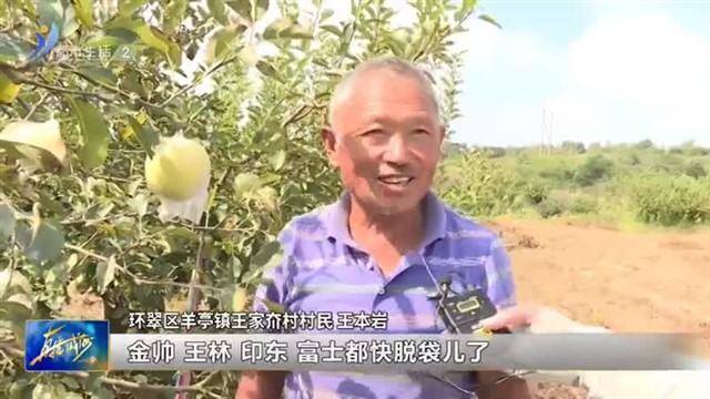 又是一年丰收季 累累硕果挂满枝【威海广电讯】