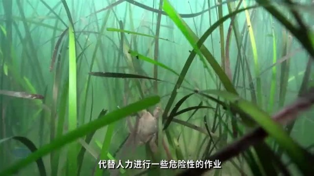 【威海广电讯】中国海洋资讯2024-11-04