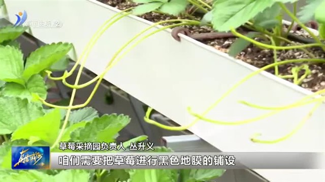 l2直播威海 2024-11-05(18:27:28-19:17:28)