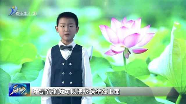 闪亮小主播：唐国栋：为什么莲叶不会被水打湿？【威海广电讯】