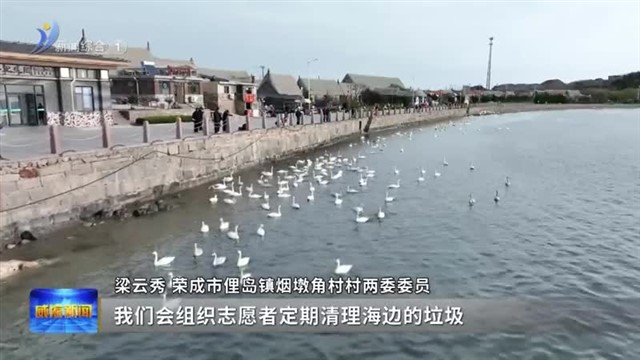 烟墩角村：传统村落变身生态旅游明珠【威海广电讯】