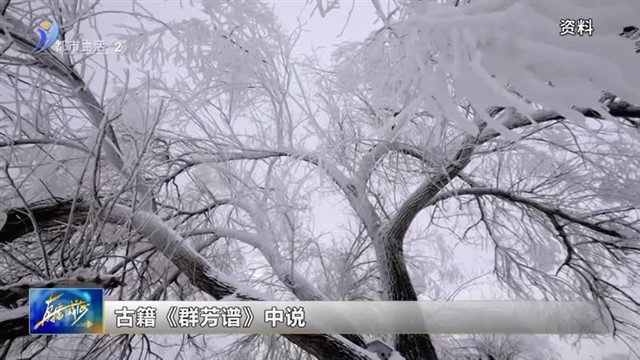 闪亮小主播：说节气——小雪    2024-11-22 【威海广电讯】