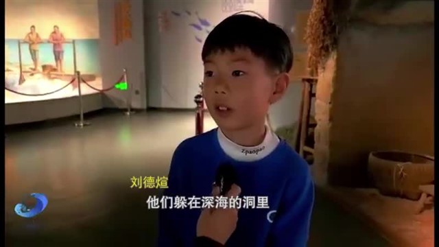 海洋生物怎么过冬_(1).mp4