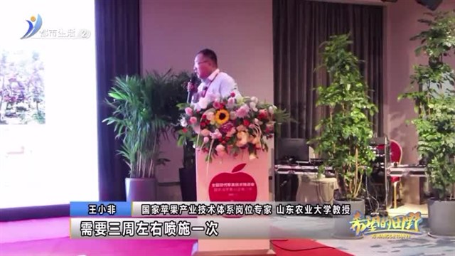 【威海广电讯】希望的田野  2024-12-31