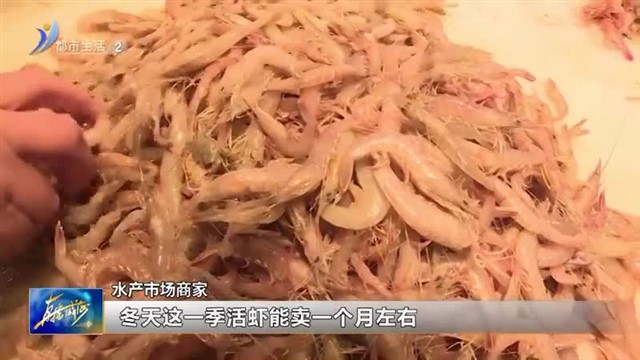 冬季本地鹰爪虾新鲜上市！【威海广电讯】