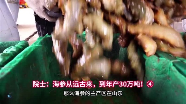 【威海广电讯】中国海洋资讯 2024-12-3