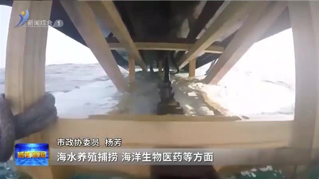 建言献策聚共识 奋楫笃行启新程【威海广电讯】